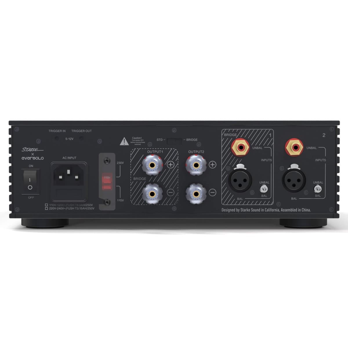 Eversolo AMP-F2 view 5